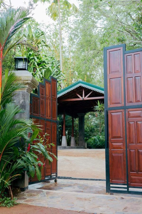 Villa Birdlake Hikkaduwa Εξωτερικό φωτογραφία