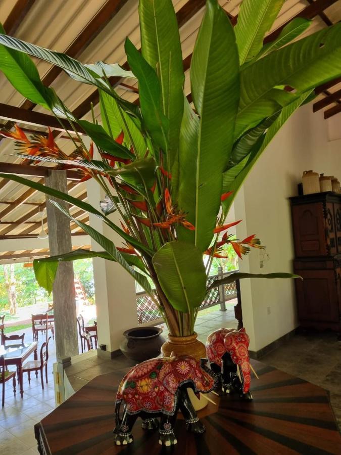 Villa Birdlake Hikkaduwa Εξωτερικό φωτογραφία