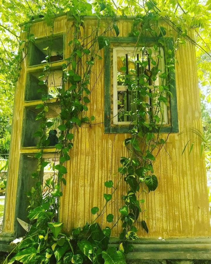 Villa Birdlake Hikkaduwa Εξωτερικό φωτογραφία