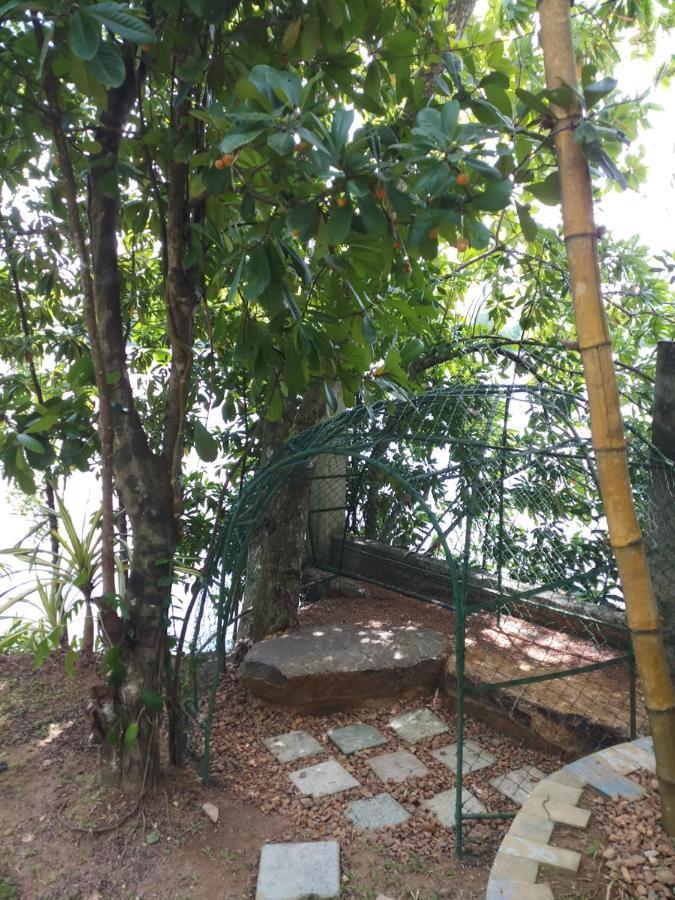 Villa Birdlake Hikkaduwa Εξωτερικό φωτογραφία