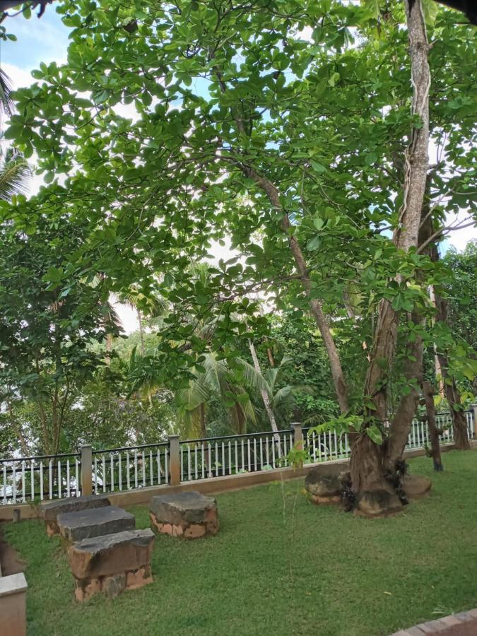 Villa Birdlake Hikkaduwa Εξωτερικό φωτογραφία