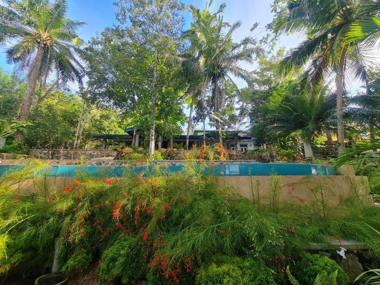 Villa Birdlake Hikkaduwa Εξωτερικό φωτογραφία