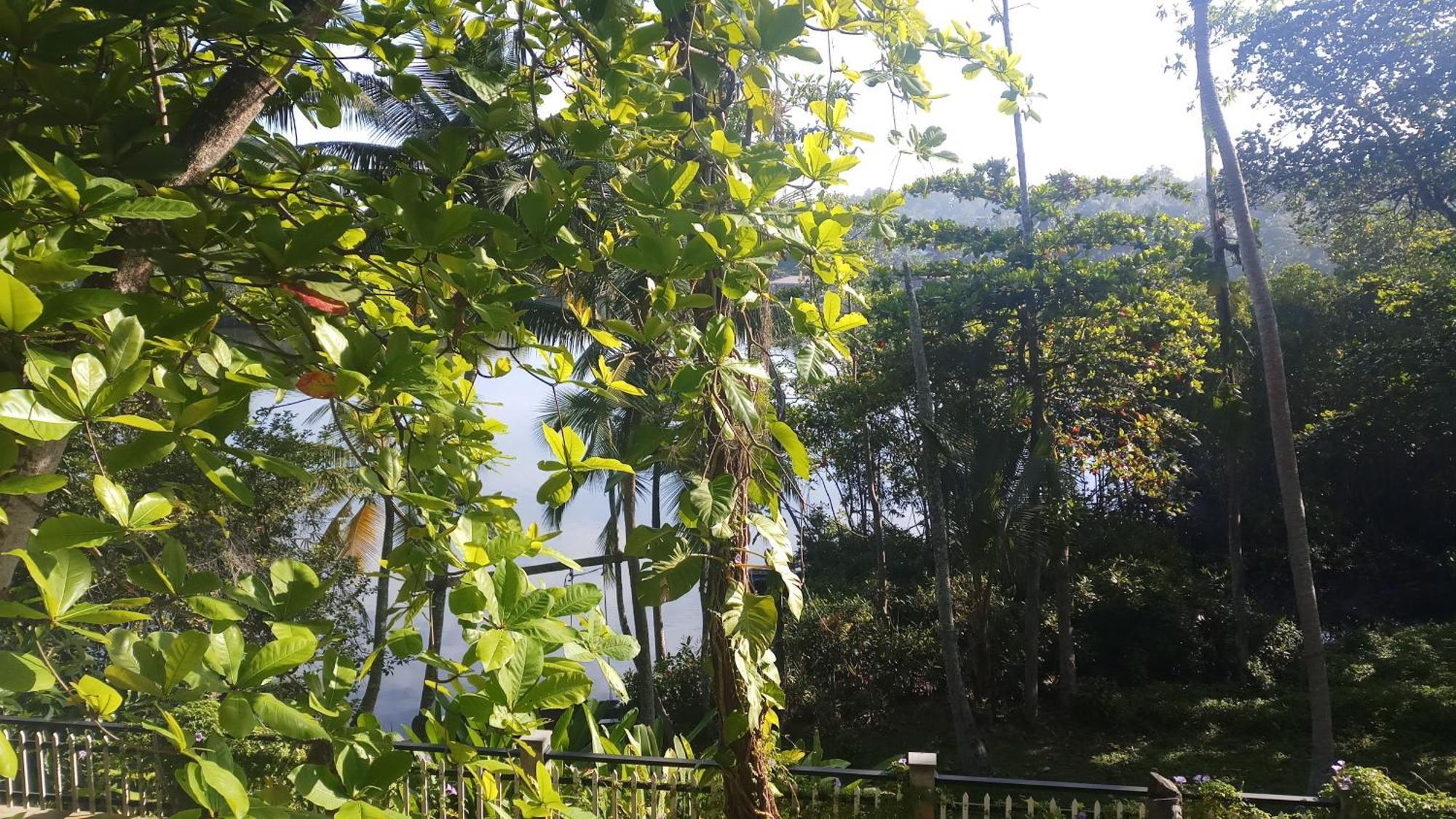 Villa Birdlake Hikkaduwa Εξωτερικό φωτογραφία
