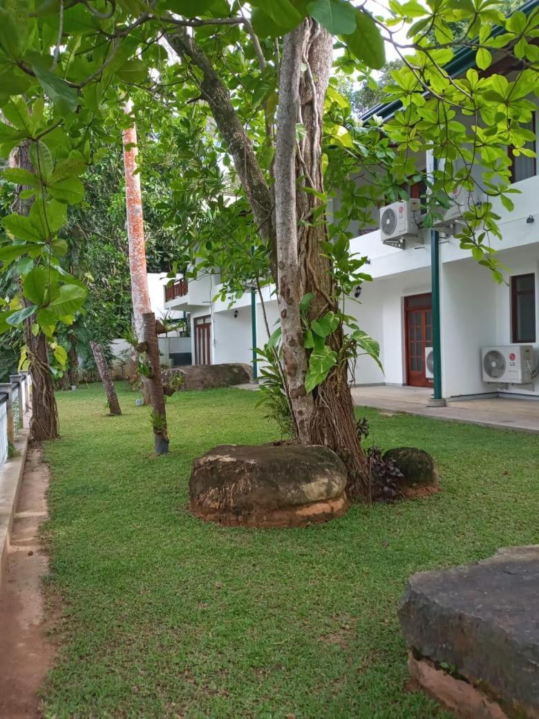 Villa Birdlake Hikkaduwa Εξωτερικό φωτογραφία